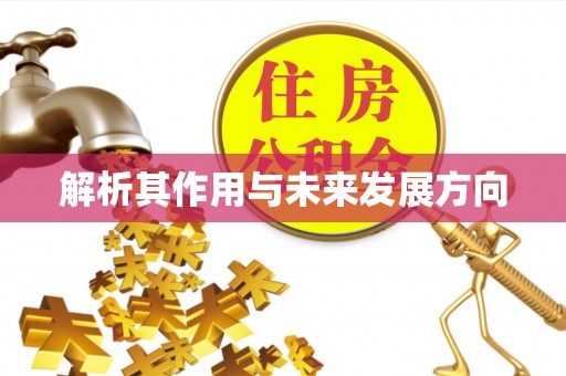 巫山解析其作用与未来发展方向