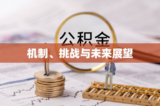 前锋机制、挑战与未来展望