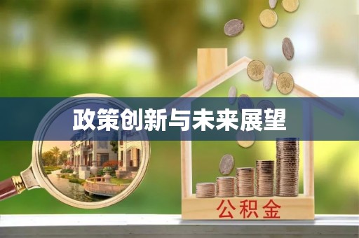 左镇政策创新与未来展望