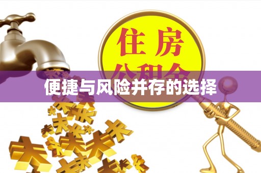 沿河便捷与风险并存的选择