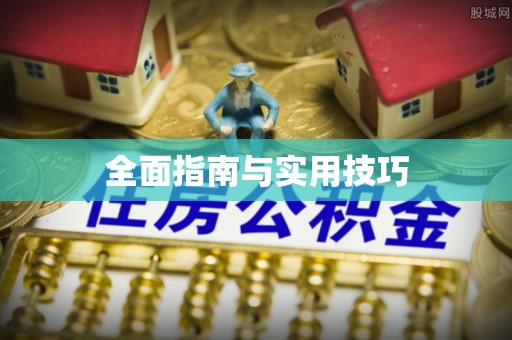 鹤城全面指南与实用技巧